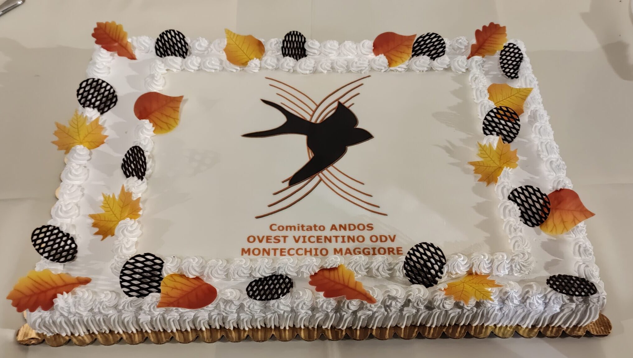 In 240 per festeggiare i 25 anni dell’Andos Ovest Vicentino